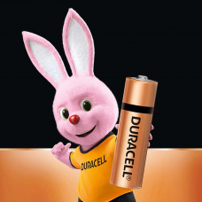 AA Cell Duracell